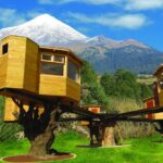 Descubre la magia del Pico de Orizaba desde las alturas de unas cabañas suspendidas entre los árboles