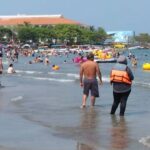 Reforestarán playas de Veracruz